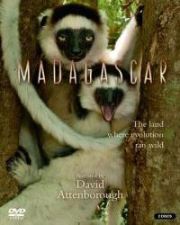 BBC: Мадагаскар (2011) смотреть онлайн